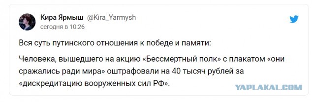 "Если бы я убил столько людей, сколько он, меня бы тоже трясло", дело айнзацгрупп