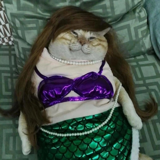 10 .jpg вам в хату