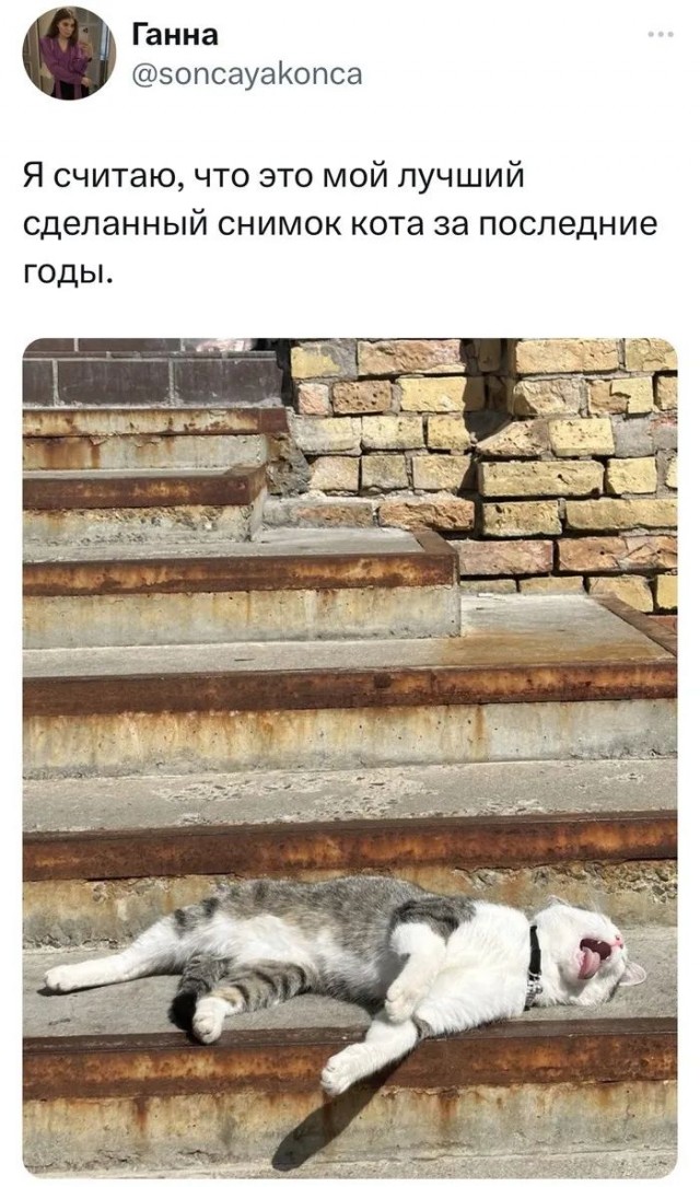 Прикольные и просто красивые картинки 25.08.2023