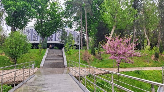 Ташкент, Самарканд, Бухара и домой…