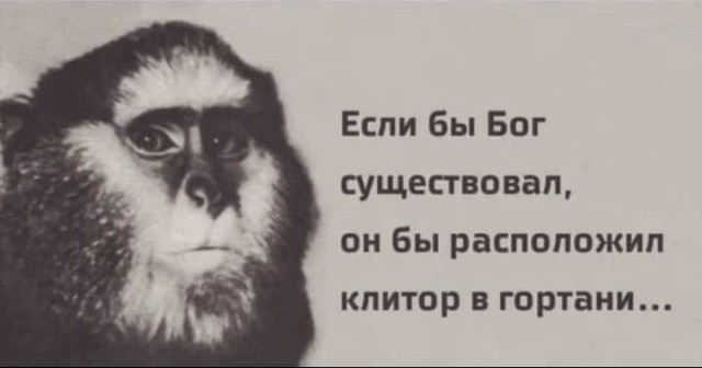 Немного мемчиков. Для взрослых. Часть 35