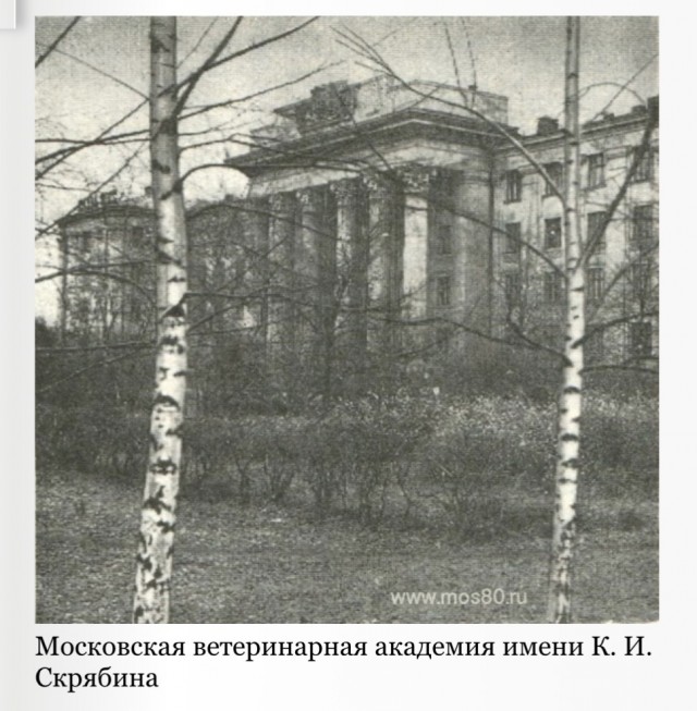 Москва и москвичи. Двадцатый век. 28.03.25
