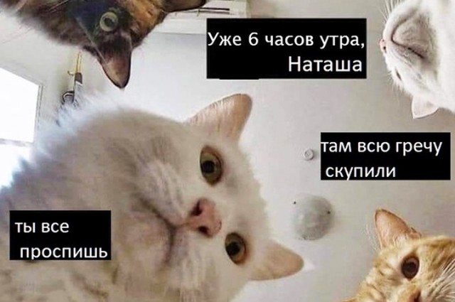Не ешь меня, я невкусный