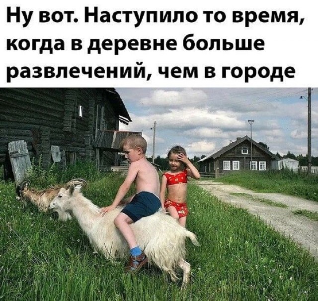 Так себе картинки 14.07.25