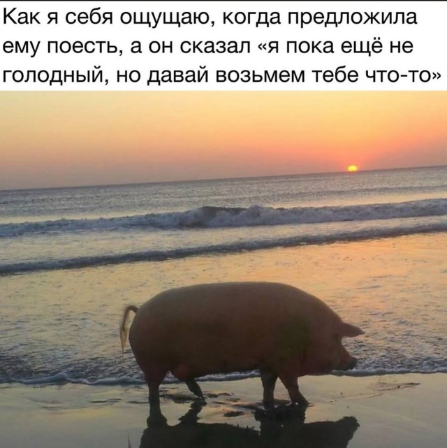 Картинки с надписями