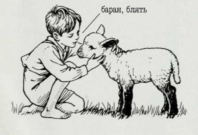 Бог дал деточку — даст и денежку