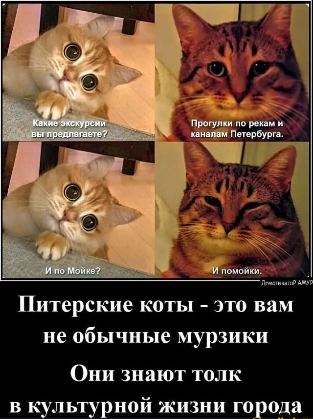 Санкт-Петербург со льда Фонтанки