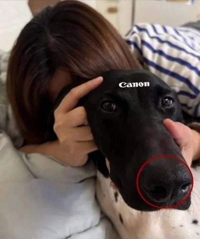 Справедливости и красоты ради