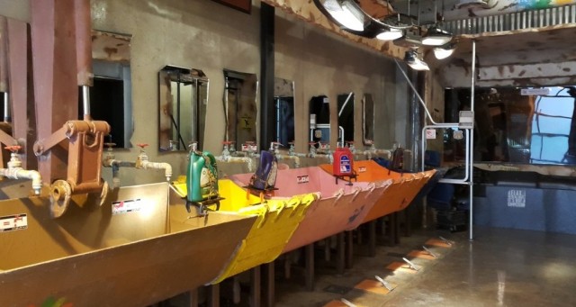 «Чувствую себя как в фильме «Безумный Макс»!»