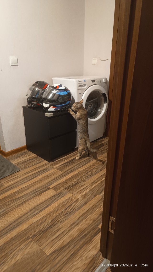 Только мы с котом...