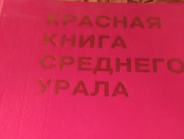 История, сколько стоит