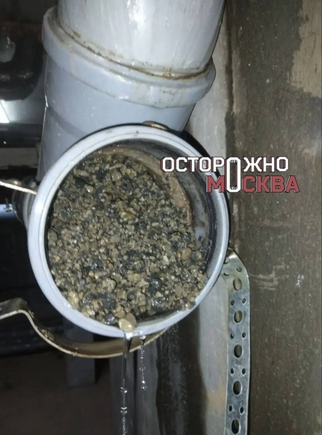 В Новой Москве кошачий наполнитель забил канализацию и затопил квартиры в ЖК «Испанские кварталы»