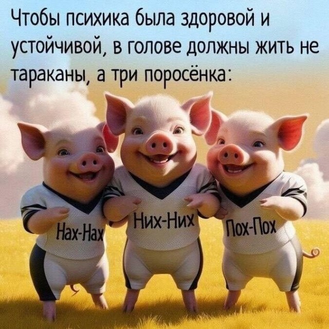 Картинки для деградации 303 (разной степени свежести)