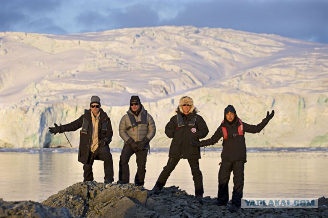 Metallica дала концерт в Антарктиде.