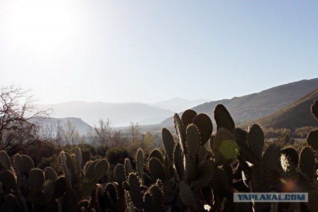 Новогодняя ночь в пустыне Сахара