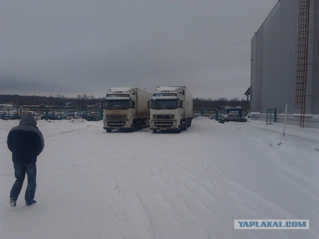 Где яблоки растут!