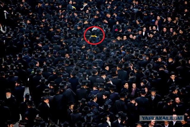 50000 Евреев на Манхеттне. Фото.