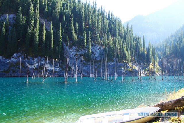 Озеро Каинды - Утонувший лес