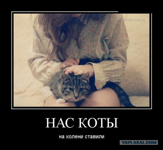 Подборка прикольных фото на начало мая