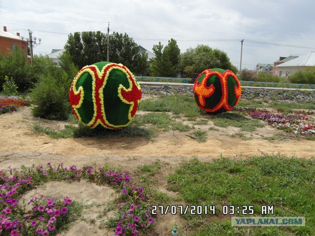 Кызылорда