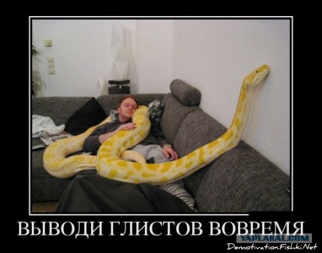 Демотиваторы вторника