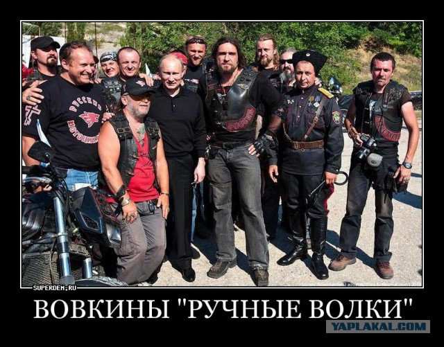 Донос Хирурга это просто ад какой-то