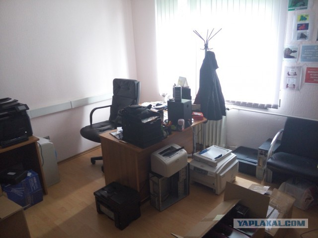 Приветы с рабочих мест ЯПовчан