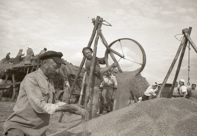 Наша история. Колхоз "Путь Ленина" 1946 год