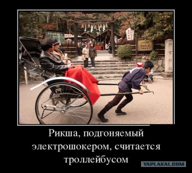 Приколы из сети