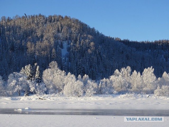 Ташкент, 2 января