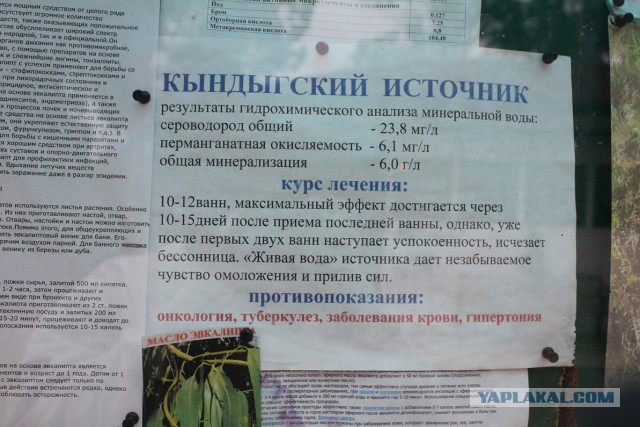 Череповец - Сухум на автомобиле.