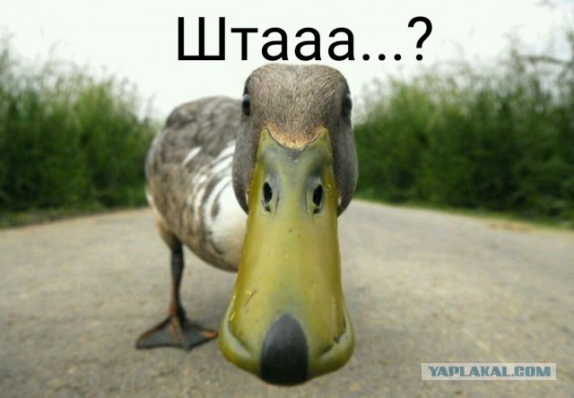 Апофеоз абсурда или "А я сказала ты не уволен!"