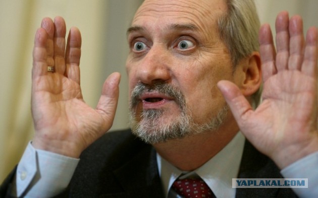 Польский министр назвал авиакатастрофу под Смоленском терактом