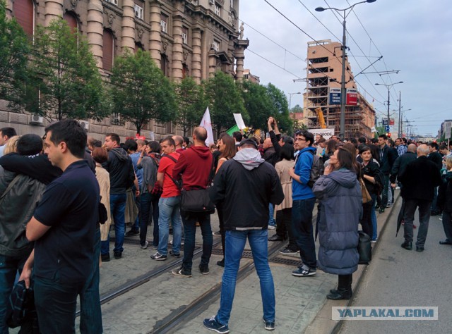 Митинг против правительства в Белграде