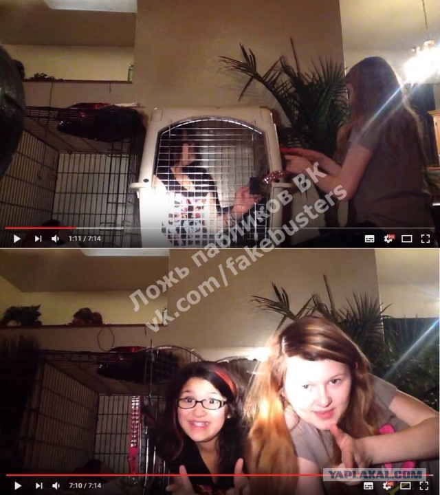 Отец запер дочь в клетке за чрезмерное использование фильтра Dog в Snapchat