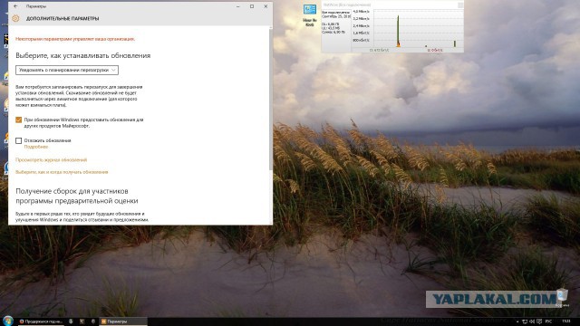 Продержался год на Windows 10. Рассказываю о главной проблеме и это не слежка