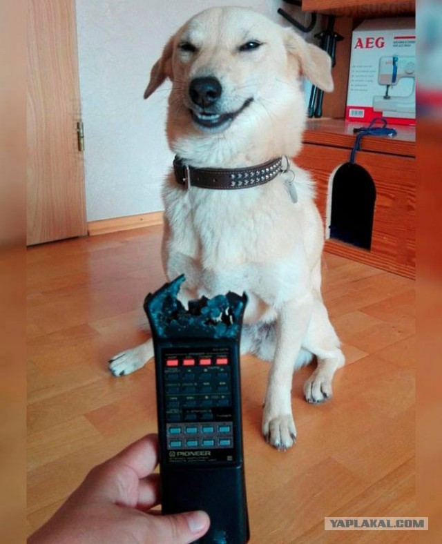 Это не я!