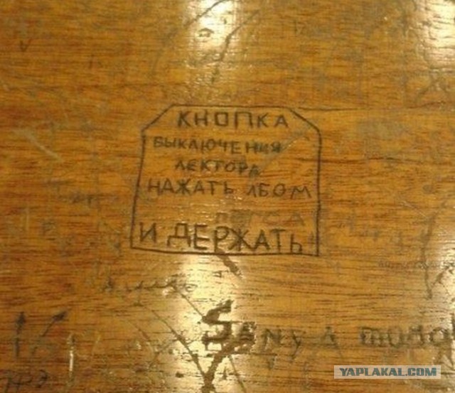 Жизнь студентов — это всегда экшен. Вот 18 фото, доказывающих это