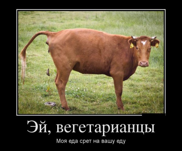 Владелец ресторана съел стейк из оленины на глазах у протестующих веганов