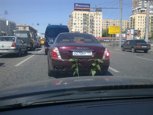 Однако зажевало