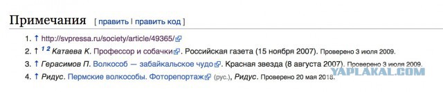 Волкособы — это 60 килограммов обаяния