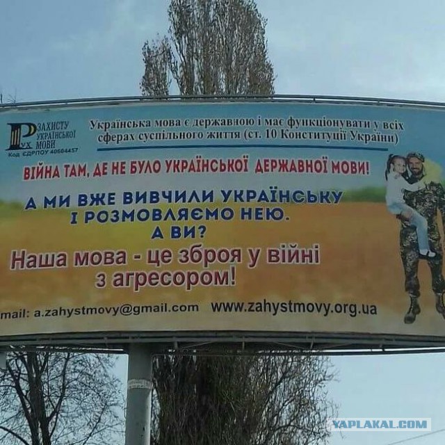 ДНР. Женщины - танкисты