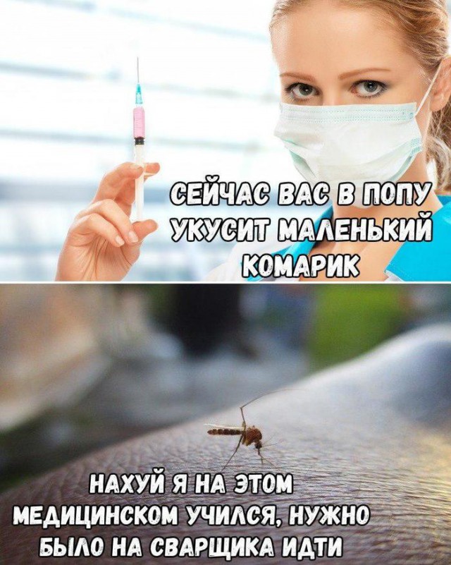 Немного бредового юмора на вечер субботы