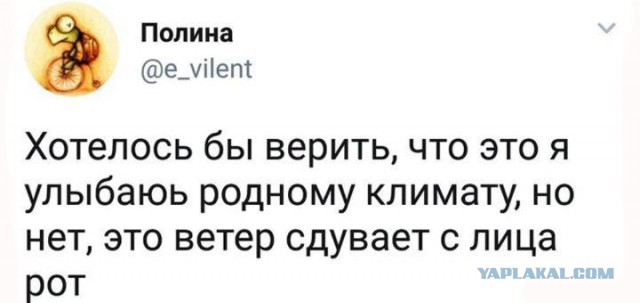 Очередные соцсети