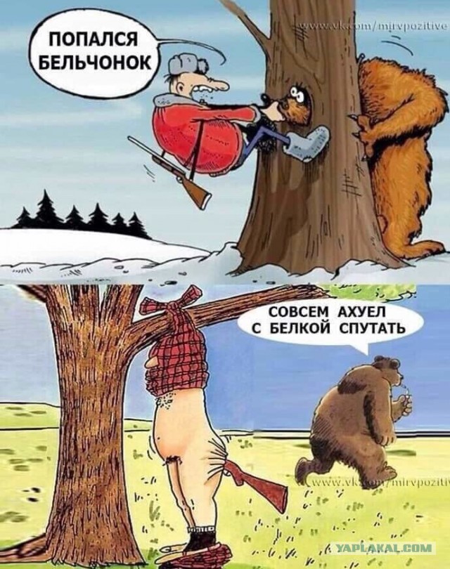 Пара лесорубов из Приморья решили сделать снимки спящего медведя