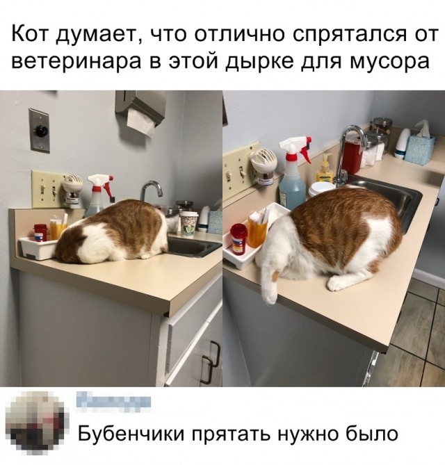 Нестандартный юмор