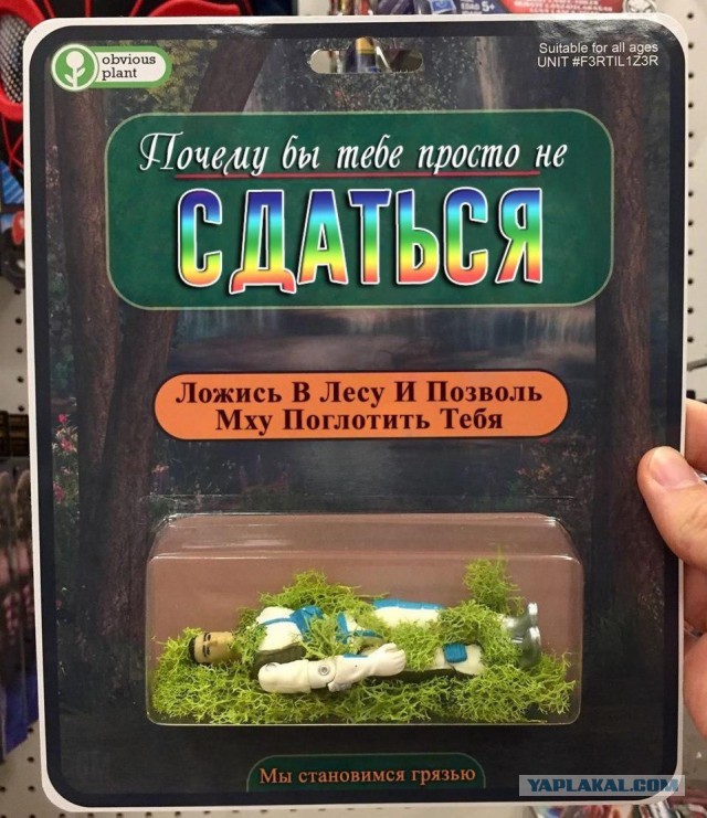 Испанец смотрит прямую линию