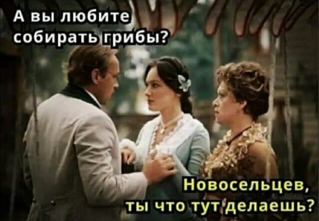 Немного картинок для настроения 19.10.19