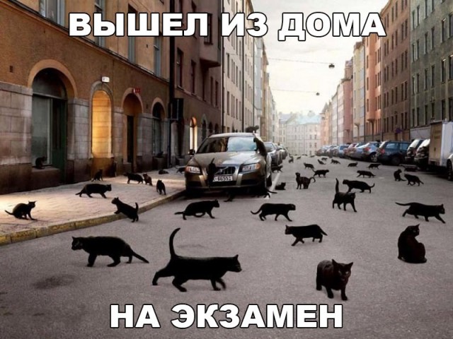 Чуток картинок 10.11.19