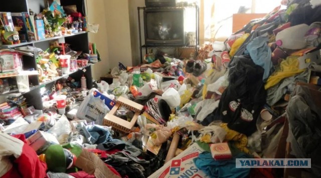 Квартира "Плюшкина" в Лос-Анджелесе, заваленная горами хлама
